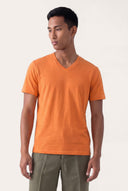 Slim Fit V-Neck T-Shirt